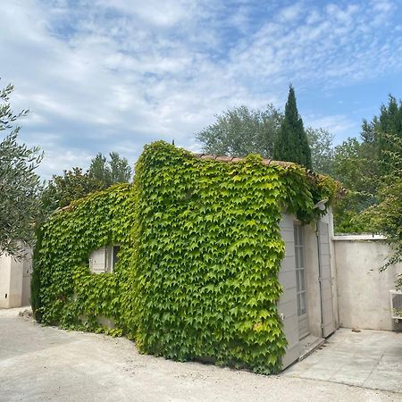 Le Mas Du Chemin : Mas Typique Des Alpilles Paradou Dış mekan fotoğraf